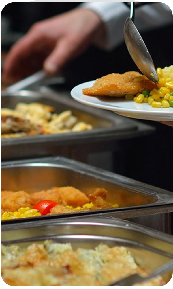 Profesyonel Catering Hizmeti